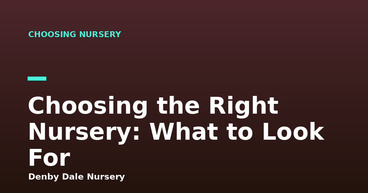 Choosing the Right Nursery: What to Look For